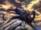 Dragons_-_Black_.jpg