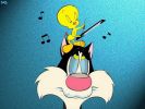 Looney Tunes - Piolin14.gif