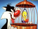 Looney Tunes - Silvestre y piolin.jpg